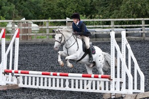 Class 2 -  Fences not above 2'